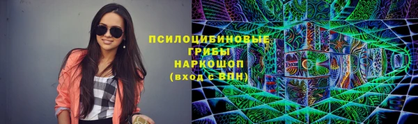 бошки Богородицк